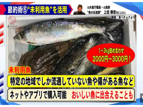 【未利用魚】TVでも取り上げられました！SDGs1.5kgお得セット★訳あり規格外★季節の旬魚干物★目利きの獲れたて干物【牛深直送便】味はもちろん保証します！【当日発送 平日便 対応】【夏ギフト】可◎