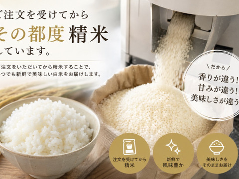 新潟県産コシヒカリ《白米10k》