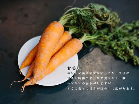 体が温まる料理に最適！冬野菜のセット（ニンジン、ジャガイモ）1.8kg