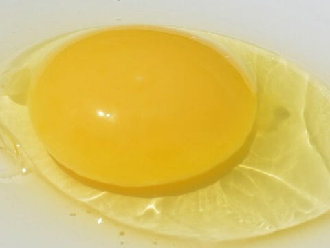 人に自然にやさしいたまご「えぼし姫」20個入り