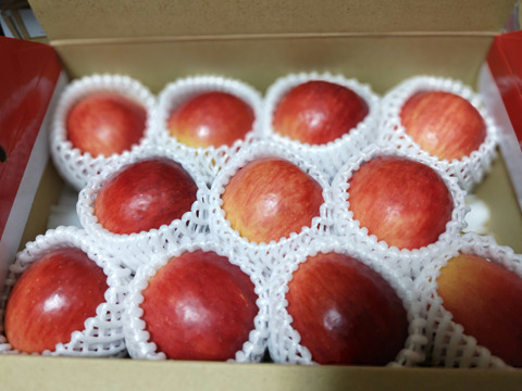 まるごとガブリっ！岩手江刺産【小玉：奥州ロマン】2㎏