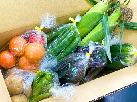 【4kg】”盛夏野菜” 大盛り詰め合わせ