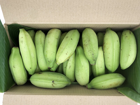 【今だけ値下げ！】ビタミンC豊富、安心・安全！ブラジルバナナ  切り離し計2kg