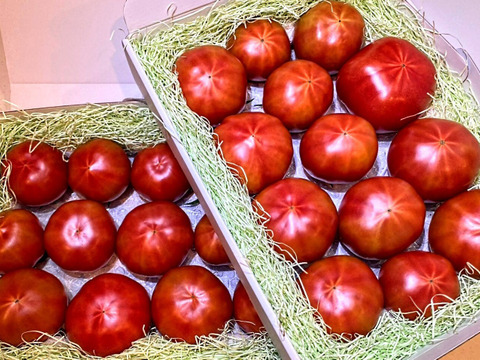 ★平均糖度10.5度！★完熟★名水育ち★究極のフルーツトマト「海部川のしずく」 
 2.8kg(22〜70個)　品種は驚きの桃太郎！