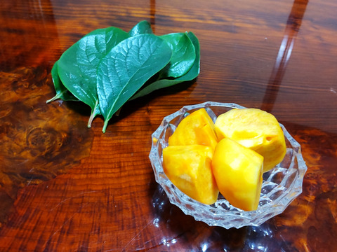 早生甘柿！早秋柿（家庭用１２個）