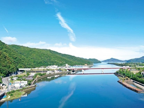 令和6年度産】新米 コシヒカリ 10㎏ ＊特別栽培米＊：愛媛県