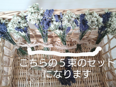 【単品☆🏣ゆうパック】ラベンダーとオルレアのミニサイズのドライフラワー❀５束セット❀現品限り☆長さ約15cm〜20cm❀吊り下げ用の麻ひも付き