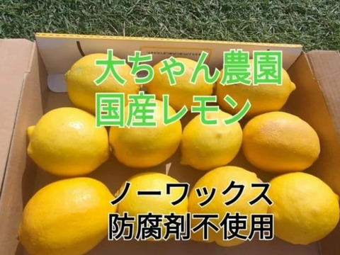感謝特別セール❢Aランク訳あり】 国産ユーレカレモン❢果汁たっぷり
5.2kg(箱込）