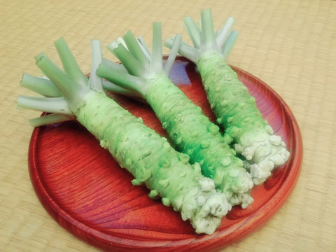 本生わさび 訳あり 100g お得 お試し おまかせ 静岡県産 食べチョク 農家 漁師の産直ネット通販 旬の食材を生産者直送