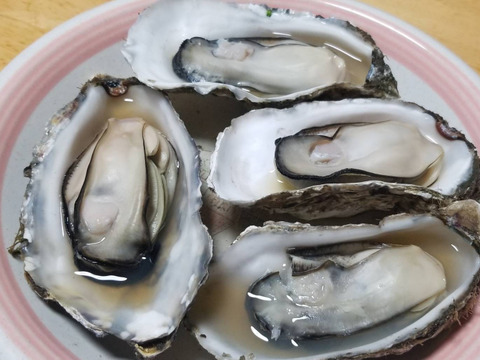 旬の貝類バーベキューセット