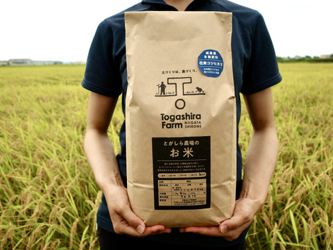 令和7年産新米予約 在来(従来)コシヒカリ 白米５kg×２袋【新潟県の希少】