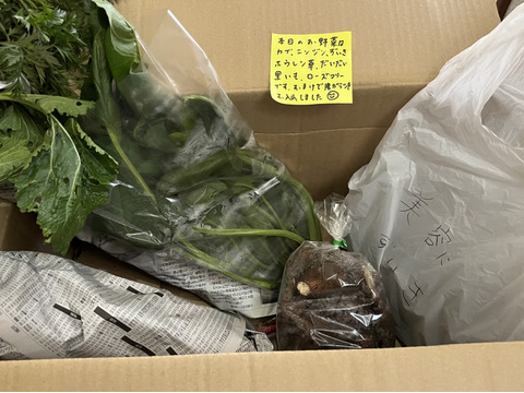 本当にな～んにもしない🍅【数量限定❗❗】子供に食べさせたい野菜（５品目～７品目）😋🍙ばぁばのモノスゴイ野菜🍅🍆🌽✨✨✨✨✨