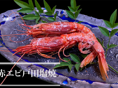 濃厚な旨み極みを持つ夕陽染めの真紅の赤エビ800g