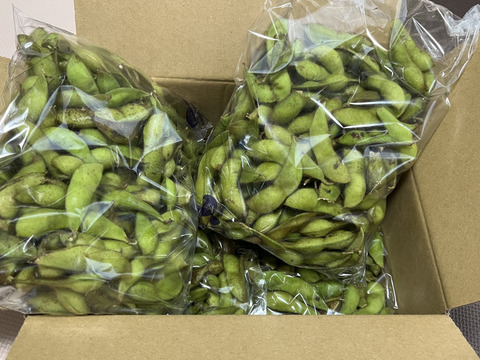 わけありB級品2kg…丹波篠山黒枝豆さや