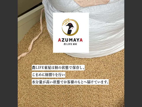 【令和5年度産】信州たてしな産　玄米コシヒカリ10kg（5kg×2袋）
