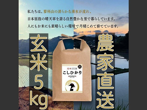 【令和5年度産】信州たてしな産コシヒカリ玄米5kg