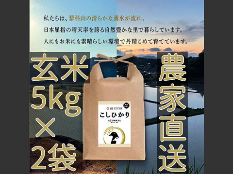 コシヒカリ 10kg ×2 農薬不使用 国産玄米 農家直送 単一品種 専用冷蔵庫 R7年産】特別価格！信州たてしな産コシヒカリ玄米10kg（5kg×2袋