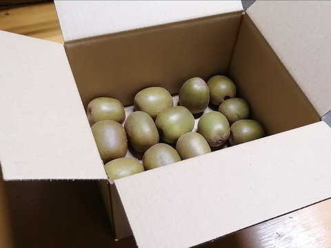 農薬不使用！【追熟済】レッドキウイ1kg