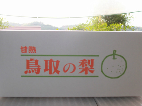 【冬のギフトにも♪】鳥取県産　あたご梨　約3kg