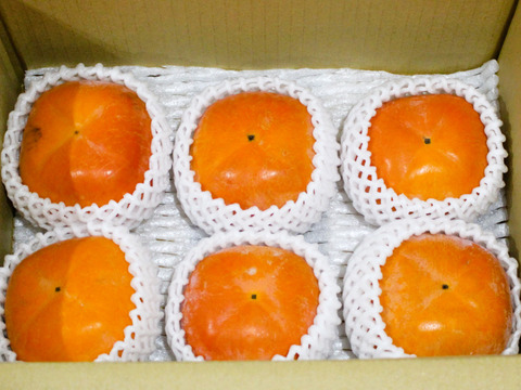 【11月中旬～下旬発送】希少！黒ゴマの紀の川柿　約1.8kg (6~8玉）