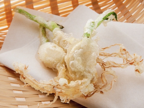 【定期便】スプラウト青空にんにく40本以上（発芽にんにく）