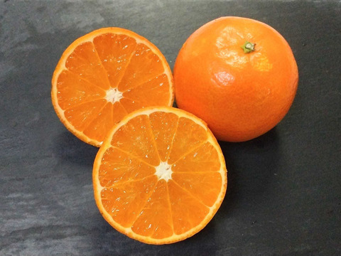 【食べ比べ】甘くて爽やか！【黄金柑】2ｋｇ・とってもジューシー！【たんかん】3ｋｇ