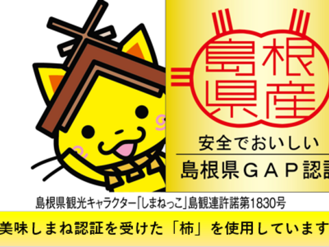 訳あり　干柿「西条」15玉