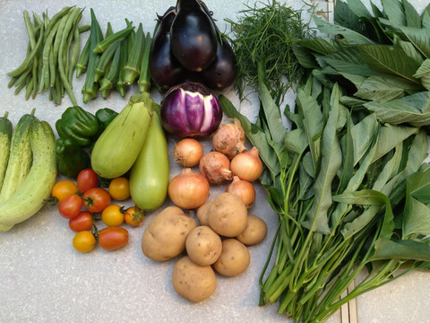 ギュッとお得用セット Sサイズ(約7品)