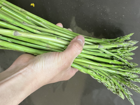 アスパラ1キロ　極細〜S　さぬきのめざめ