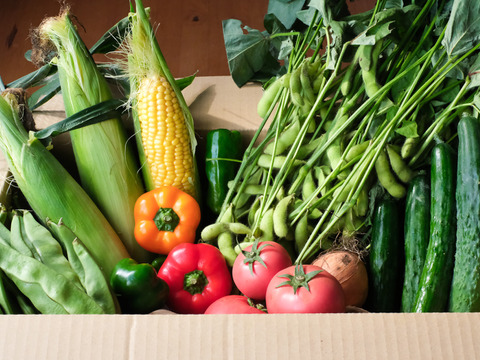 【火曜日出荷分】寒暖差が美味しさの秘訣！高原野菜セット【S: 少量をご希望の方に】