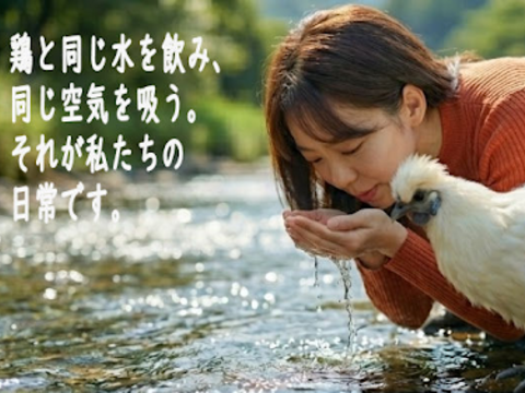 【食べ比べ】衝撃のおいしさ　希少な烏骨鶏＆濃厚黒どりネラ （計20個）16個＋破卵保証4個