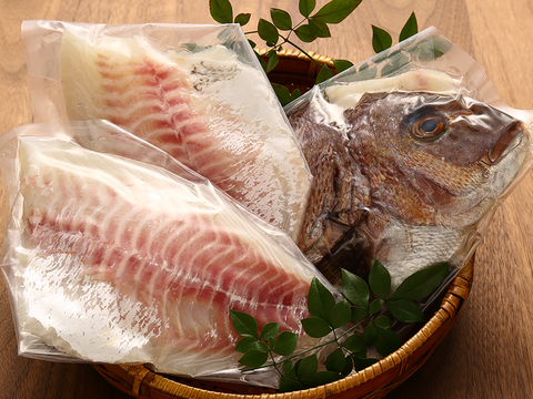 【冬ギフト】何度もリピートされている大満足の肉厚たっぷり鯛！〈３枚おろし・皮なし〉