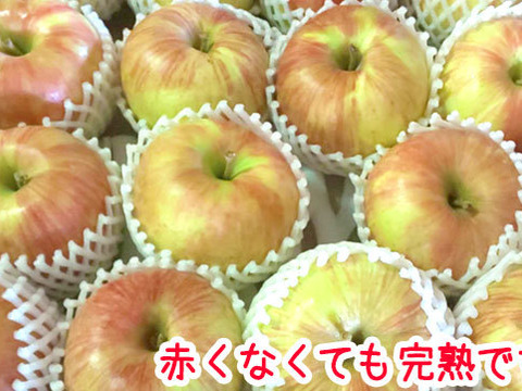 8月発送 りんご 贈答用 サンつがる 約2キロ 5-8玉 復興支援 #tsugaru-a-2k