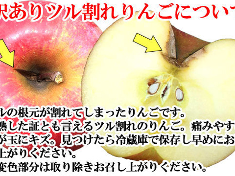 【りんご農家におまかせ！】旬のおまかせりんご 葉とらずりんご(無選別) アウトレット用 約2.5kg(6-16玉)1~3種類 長野県 信州 りんご リンゴ #NAX0X025