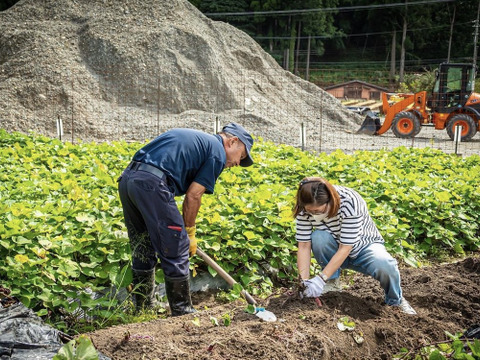 【ごろごろ、ほっくほくのメークイン】　兵庫県香美町産じゃがいも（メークイン）５kg（箱入）