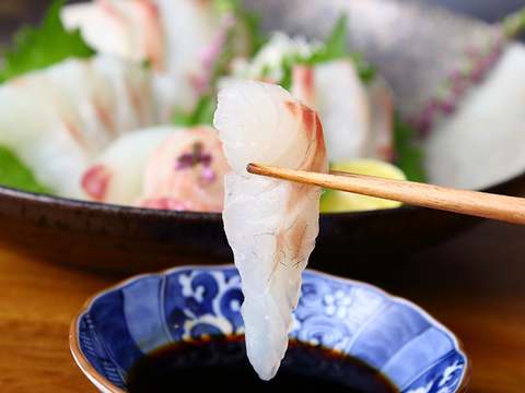 【夏ギフト】和でも洋でも楽しめる！朝獲れ新鮮な口どけ鯛！スーパーでは出会えないクオリティ！＜３枚おろし・皮なし＞