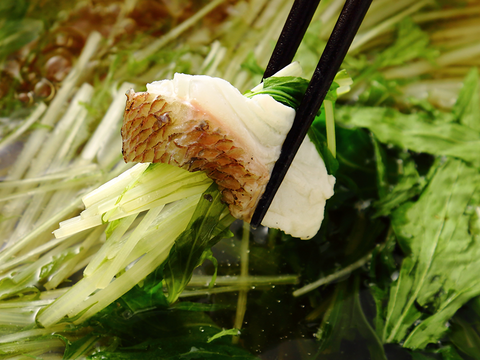 【父の日ギフト】本当の旨味を堪能♪甘味と旨味溢れるブランド鯛を！＜２尾セット[皮あり×２尾]＞