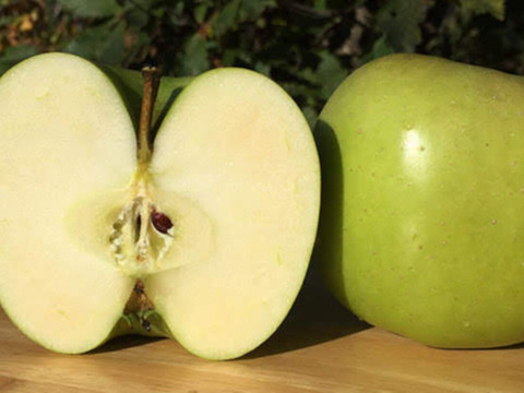 旬を味わうフルプロ農園の手作りジャム【おまかせ6本セット】果物・砂糖・レモン果汁のみ使用 #NKM00906