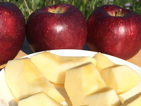 【家庭用】秋映  約4.5kg 12-25玉 シャキッと歯ごたえ！ 信州りんご【9月下旬頃～】#NAA0B045