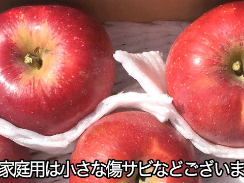 9月下旬発送 りんご 家庭用 紅玉 約3キロ 7-15玉 復興支援 #kougyoku-b-3k