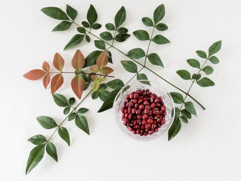 縁起物！ 南天の葉 伊勢志摩産 10g 無選別