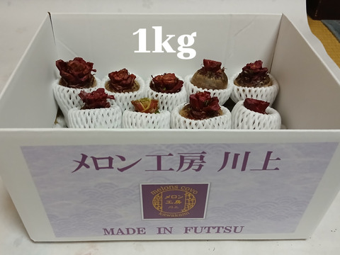 メロンハウスで育てた、スーパーフード『ビーツ（デトロイト）』1kg