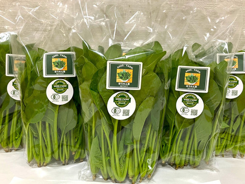 【有機JAS認証】ほうれん草　900g(150g×6パック)