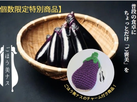 【ゲン担ぎ福袋】”一富士二鷹三なすび” ノベルティグッズ付き「ごほう美ナス」（約1kg）