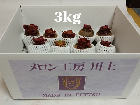 メロンハウスで育てた、スーパーフード『ビーツ（デトロイト）』3kg