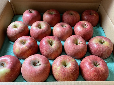 【王道サンふじ】　5㎏　13～20玉　本場青森りんご　農家直送　元気なりんご