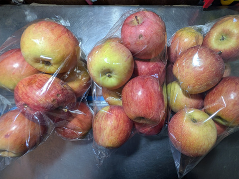 ふじリンゴ24玉