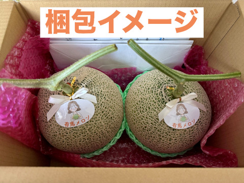 【県知事賞受賞】有馬温泉の麓産 特秀品 赤肉メロン🍈 最高等級7L 2玉｜土づくりと甘さにこだわった農薬節約栽培🌱 兵庫県産 レノン《7月中旬頃〜発送🚛³₃》【お中元】【夏ギフト】【特秀品】