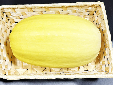 麺になるかぼちゃ！？そうめんかぼちゃ（約1kg、1〜2個）農薬・化学肥料不使用