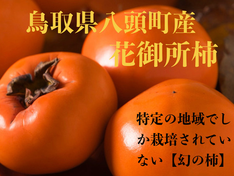 【2025予約販売】花御所柿　最高級品　大工の作る杉の箱入り